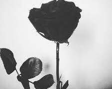 너를 닮은 이 시간