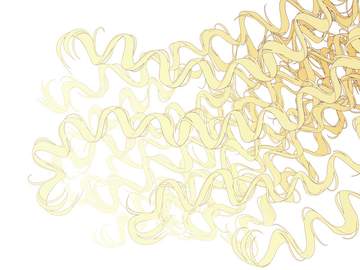 잔곱슬 머리카락 브러시