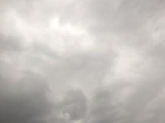 유토피아라는 게,