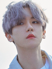 논-클래시컬 버디