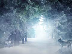 건들이지마라 싸우고 싶어?