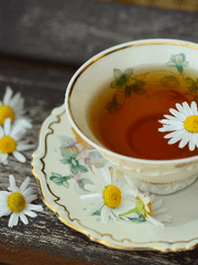 계간끌펫: 사계