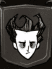 돈스타브 투게더 뉴비 가이드