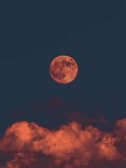 렌고쿠 쿄쥬로 x 부인 유사 썰1