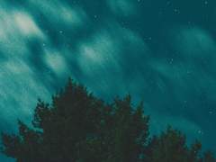 보내지 못하는 편지