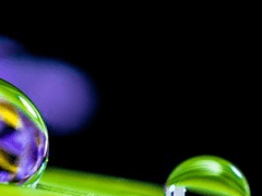 마음에 남은 떠난 님