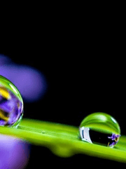 19.9도 서로 다른 감성 흐름의 시~