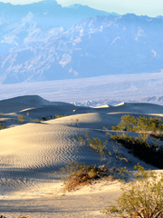 Epipodo English Poem