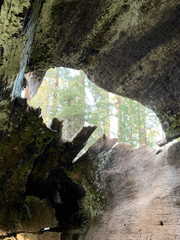 에피포도엽서 Epipodo Postcard