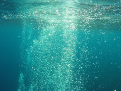 보물 찾는 남주들이랑 엮인 여주의 역하렘 SSUL 2