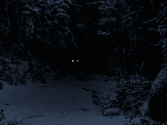 四凶 중 西의 大凶厄