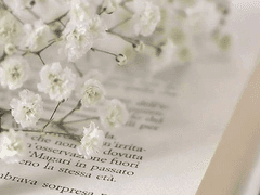 백 은/XY/1학년/공개 프로필