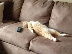 127막내 김여주 모먼트 EP.26