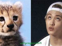 엔시티썰 맛보기스푼