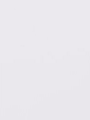 아메리카노 타입