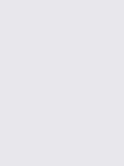 에스프레소 타입