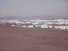 내일은 해가 동쪽에서 뜰까