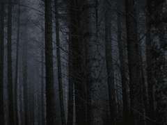 그들에겐 포옹이 필요하다. 1