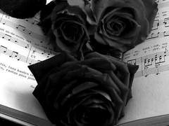 애인을 바꿔 주는 가게