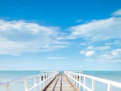 [신현아/19/3학년]