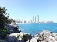 No. 1 감시자 《아리엘 세이나》