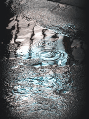 물웅덩이에 비친 하늘