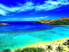 Bleu Foncé: 여덟번째 파랑(Fin)