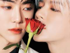 판사님, 저의 죄를 고합니다