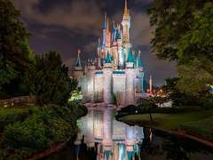 [제필] Peter pan 1