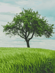 Refresh 리프레쉬