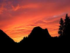 그 아이는 널 위해 싸우다 죽었다.