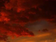 be overcome with apprehensions