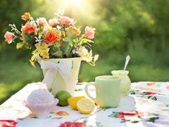 삼백, 하고도 하나.