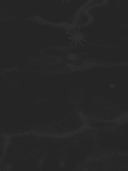 Atlantis : 침묵하는 파도