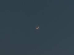 아무도 모르게 1