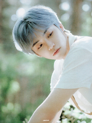 우리의 짧았던 여름을 기억해