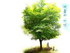 [선덕여왕] 여름의 기억