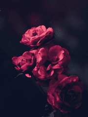 [적흑]_당신으로부터 내게로 흐르는 것은