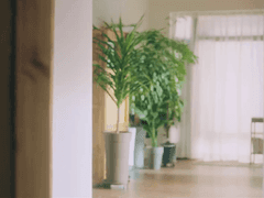 It’s Beautiful Life