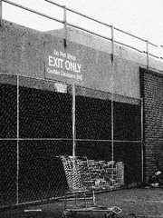 &deg;The Gibson familly&deg;