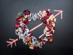 Season 1 Ep.4 정기 훈련 준비.