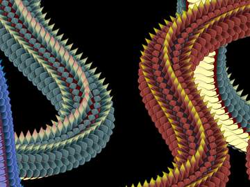 가시뱀/용 브러시