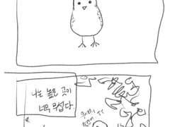 멧비둘기 이야기