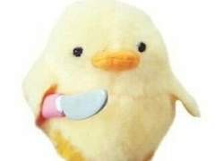 모의고사에서 멘탈 털리다