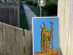 이번 주의 카드: Page of Wands