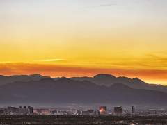 문파이 타입 (5)