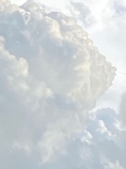 무협/판소 통합