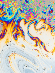 비즈니스때문에숨기는밍키밍키