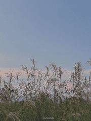 겨우 트인 작은 숨을 사랑할 수 밖에 없음을