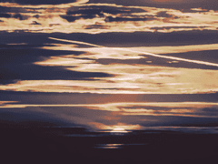 우리는 그럼에도,